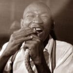 10 Horrific Ways Animals Were Used for 'Entertainment'