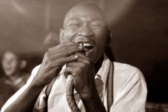 10 Horrific Ways Animals Were Used for 'Entertainment'