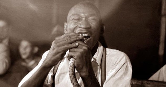 10 Horrific Ways Animals Were Used for 'Entertainment'
