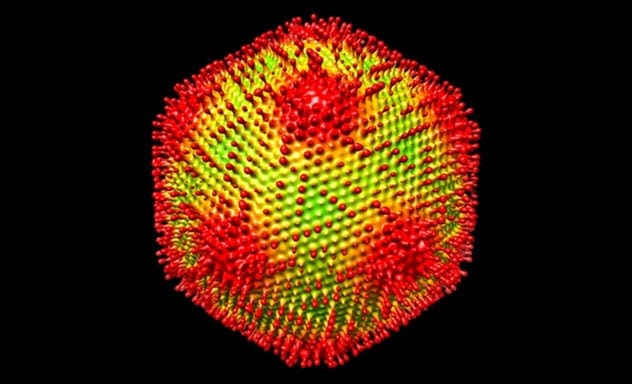 Medusavirus particle