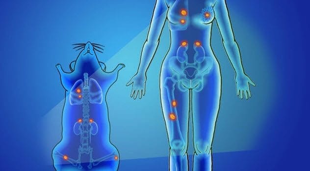 Advancements in Nanomedicine