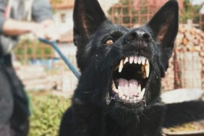 Top 10 Most Awful Ways to Die You Wouldn't Wish on Anyone