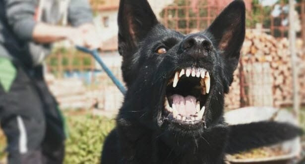 Top 10 Most Awful Ways to Die You Wouldn't Wish on Anyone