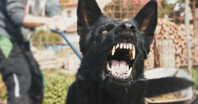 Top 10 Most Awful Ways to Die You Wouldn't Wish on Anyone