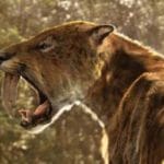 11 Amazing Saberteeth Creatures: Nature's Deadliest Jaws
