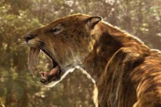 11 Amazing Saberteeth Creatures: Nature's Deadliest Jaws