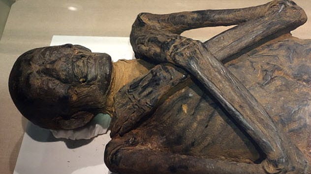 Ancient Egyptian mummies used for medicine