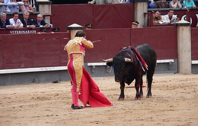 Alvaro Munera in a bullfight