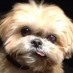 2020 Wasn't All Bad: Top 10 Good Things That Happened