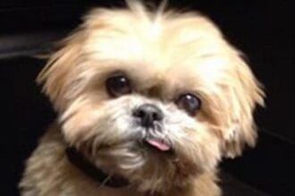 2020 Wasn't All Bad: Top 10 Good Things That Happened