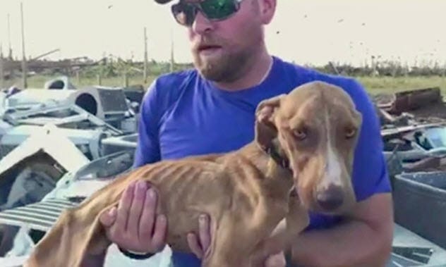 Miracle The Dog