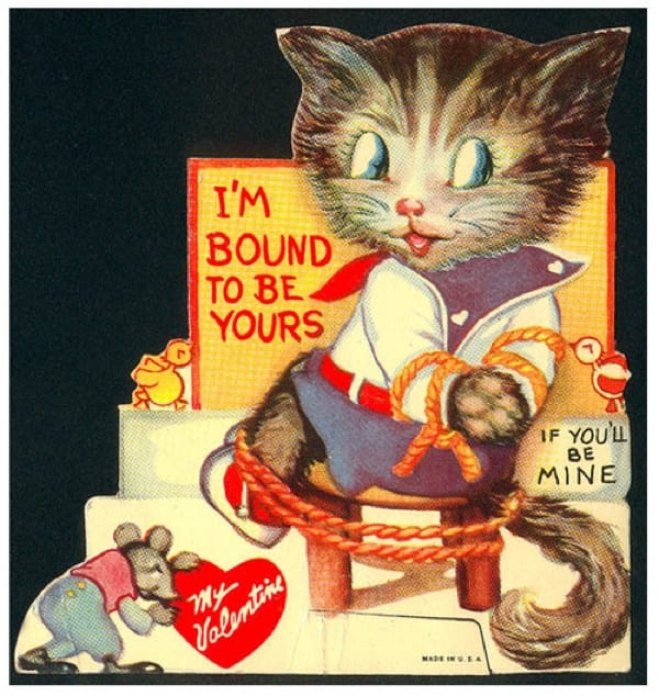 Terrified kitten valentine card