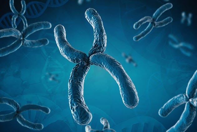 Illustration of chromosomes