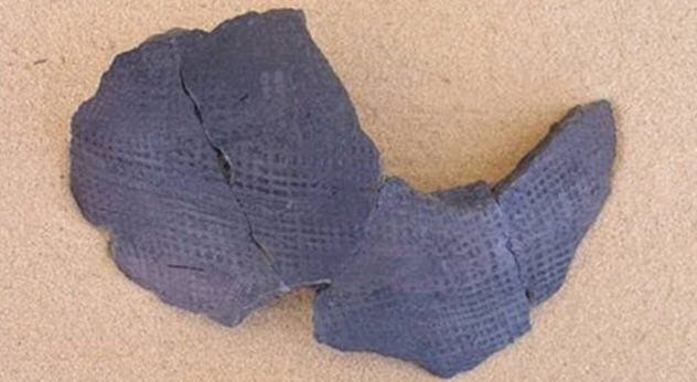 Pottery shard