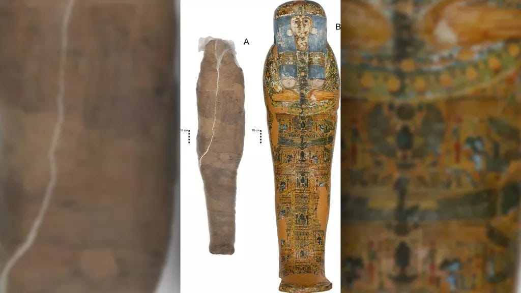 Mud mummy