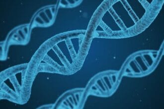 10 DNA Revelations: Shocking Truths About Our Human Past