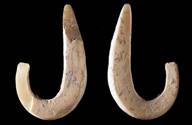 East Timor fish hooks