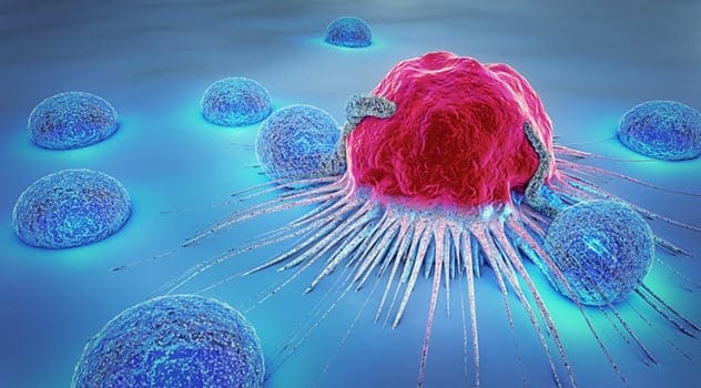 Targeted Cancer Therapies