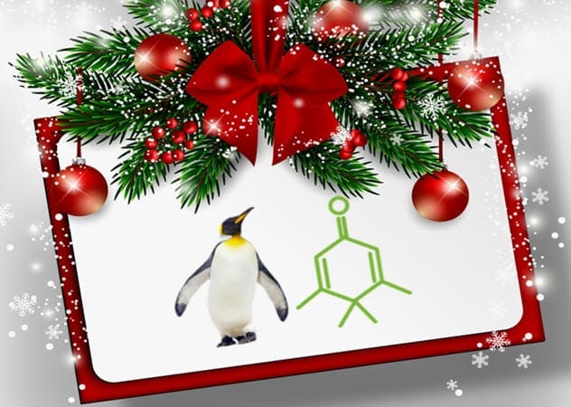 Penguinone molecule
