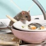 Top 10 Hilarious Insurance Scams That Got Busted!