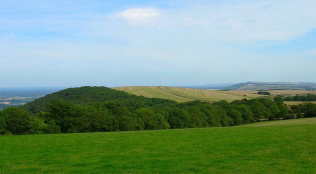 Bignor Hill Dragon