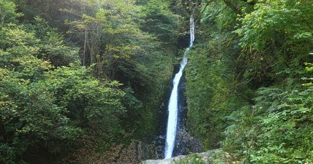 Natural water source for off-grid living