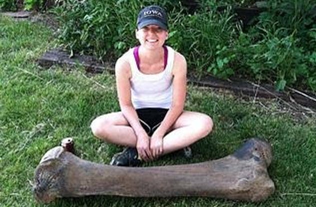 A very large fossilized mammoth femur bone