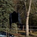 Mothman: 10 Eerie Facts About the Legendary Winged Cryptid