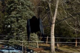 Mothman: 10 Eerie Facts About the Legendary Winged Cryptid