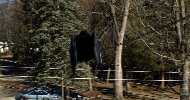 Mothman: 10 Eerie Facts About the Legendary Winged Cryptid