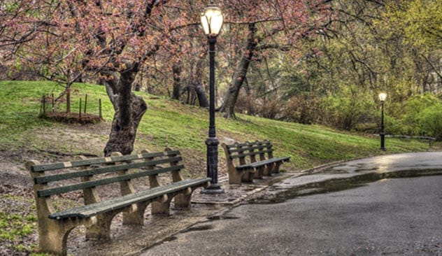 Central Park