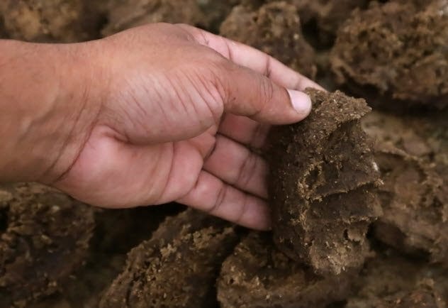 A large pile of dried cow dung, an unconventional COVID-19 'cure' in parts of India