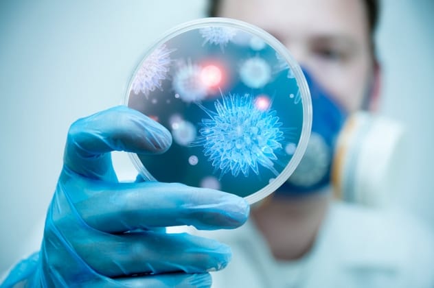Home Microbes