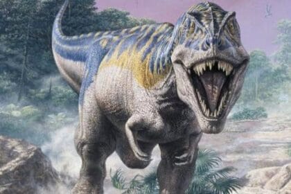 10 Movie Mistakes: What Hollywood Always Gets Wrong!