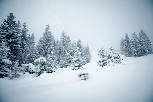 Man in blizzard.