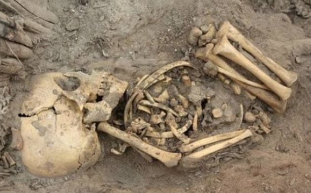 Infant skeletons