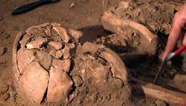 Ancient human bones laid out on a tarp
