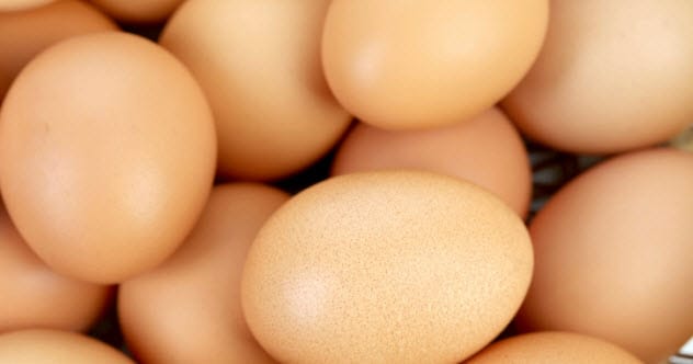 Eggs in water