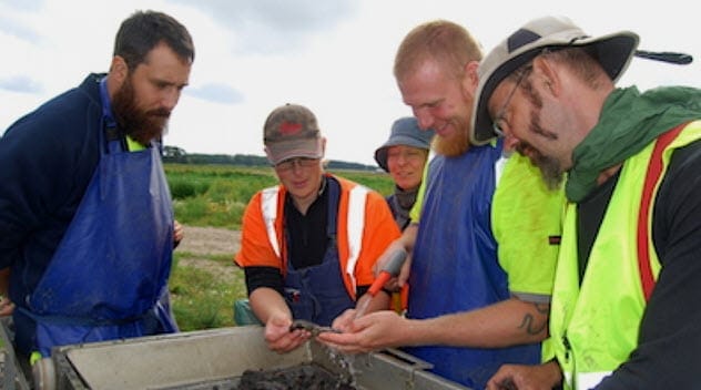 Fish fermentation in Nordic prehistory