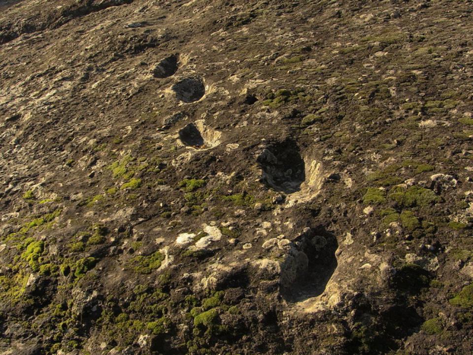 Pyroclastic Flow