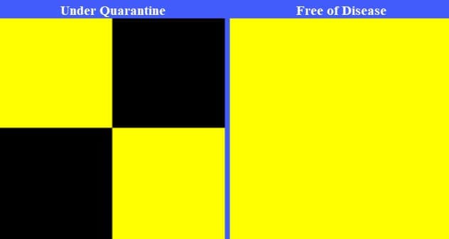 Quarantine flags