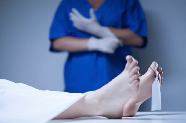 autopsy