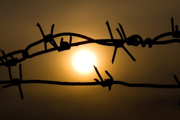 Barbed Wire