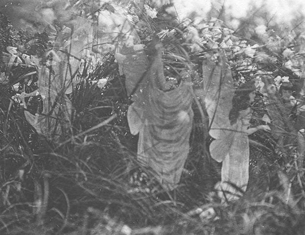 Fairy sightings