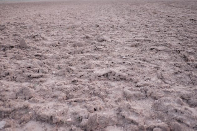 A patch of barren dirt in a grassy graveyard, symbolizing the Robber’s Grave