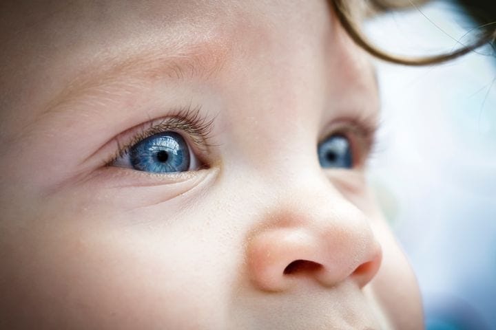 image of large eyes