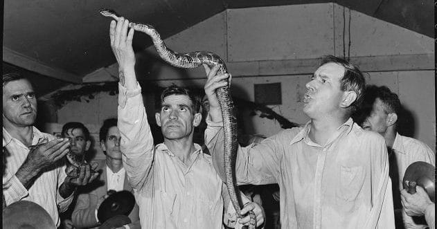 10 Wild Facts: Snake Handling Churches Unveiled