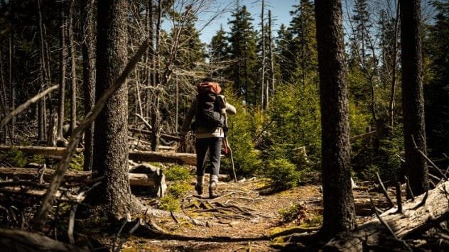Image representing Leonard Lane, a WWII veteran who vanished.