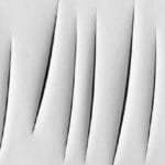 10 Crazy Costly Paintings: Art That Baffles & Amazes!