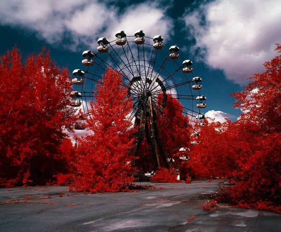The Bloody Red Forest